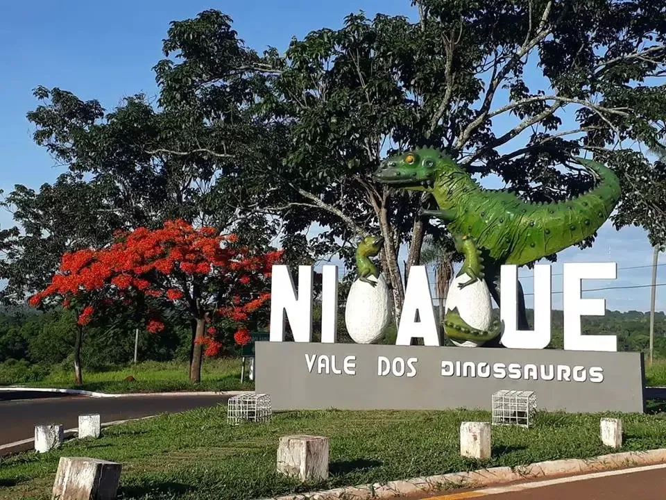 Nioaque MS