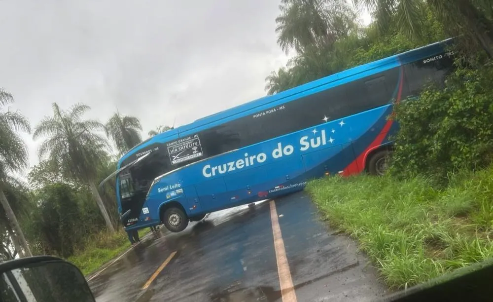 Reprodução Jardim MS News